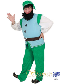 Costume Elf
