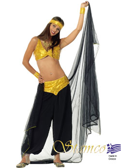 Costume Belly Dancer